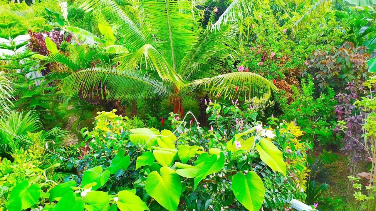 Villa Modara Tangalle Exteriér fotografie