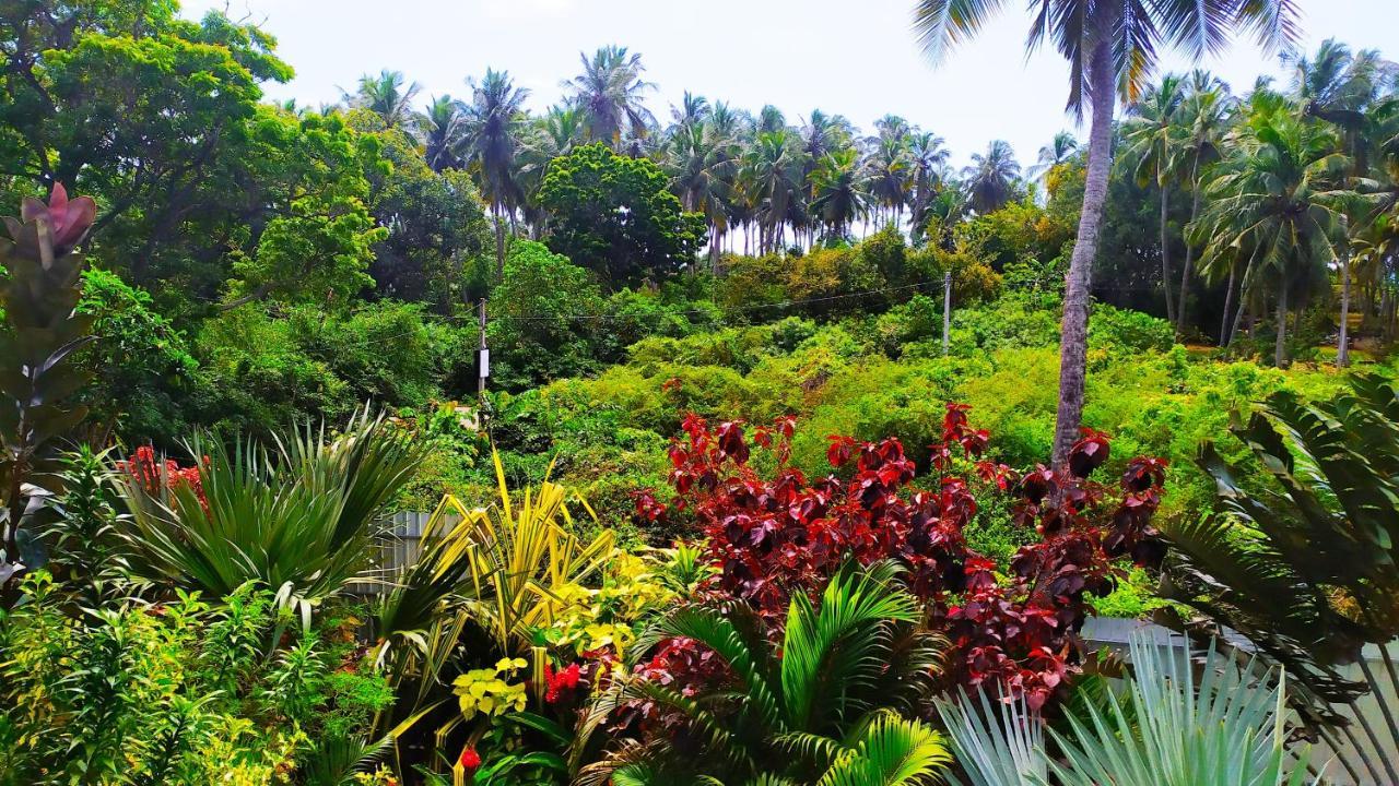 Villa Modara Tangalle Exteriér fotografie