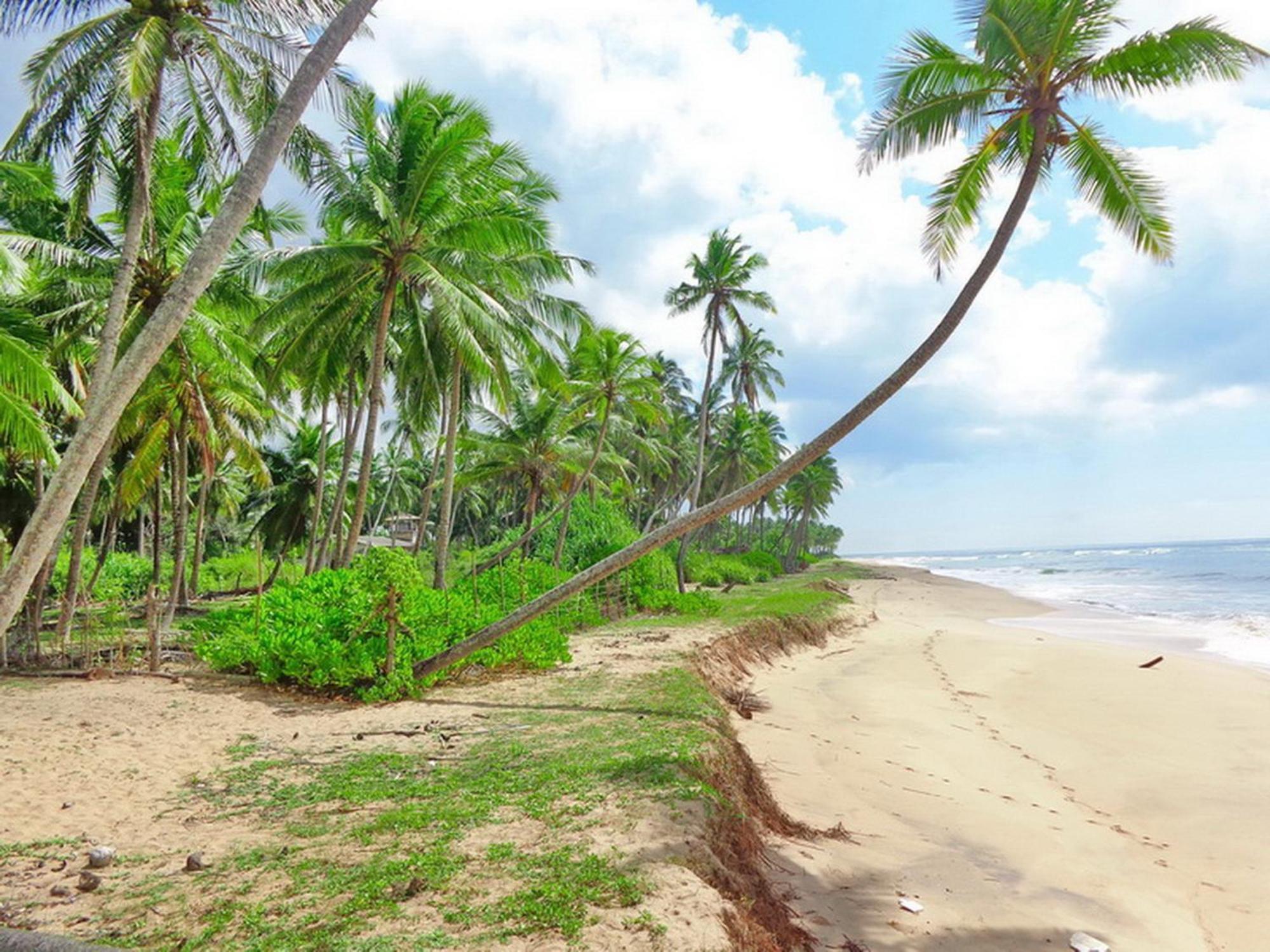 Villa Modara Tangalle Exteriér fotografie